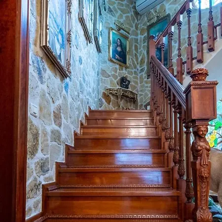 Luxury Lake Villa Năvodari