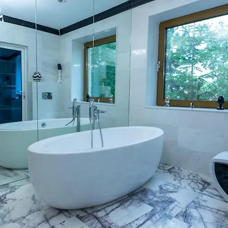 Luxury Lake Villa Năvodari